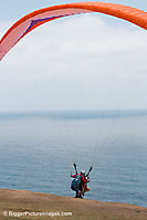 IMG_7196 LR LR