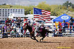 Lost Dutchman Days Rodeo 2014