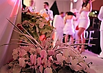 7img_1441-01