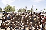 mighty-mud-mania-2009-scottsdale_22