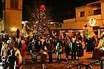 motelucia-tree-lighting-scottsdale-2009_61