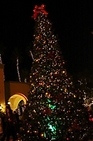 motelucia-tree-lighting-scottsdale-2009_68