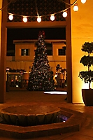 motelucia-tree-lighting-scottsdale-2009_84