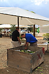IMG_7892