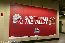 11_IMG_8632-denoise-denoise_1766988954_69521c9ad333f