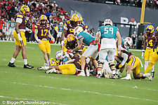 45_IMG_3096-denoise-denoise_1766989000_69521cc85cb77