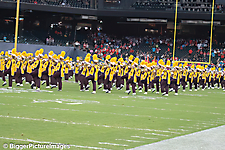 IMG_2987-denoise-denoise_1766989058_69521d02804eb