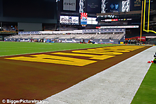 IMG_8613-denoise-denoise_1766989094_69521d26d44ad