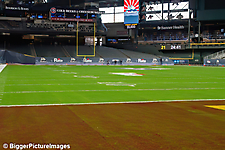 IMG_8614-denoise-denoise_1766989096_69521d28139e9