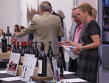 Shopping the Silent Auction 2