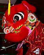 3I5A3813
