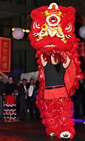 3I5A4004
