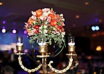 opera-ball-2010-phoenix_70
