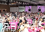 panda-people-07