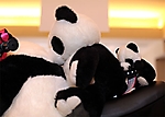 panda-people-14