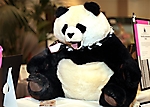 panda-people-20