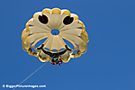 Parasailing Above The Pacific