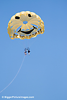 99 IMG_7568 LR LR