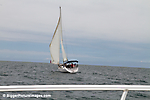 IMG_5121 LR LR