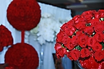 bridal-show-at-the-w-hot-02