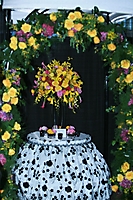 bridal-show-at-the-w-hot-05