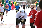 pf-changs-rock-n-roll-marathon-phoenix-2010_70