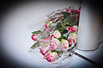 z IMG_0042