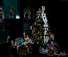 WebRezMonica_Mclean_Photography_PHXFW Holiday Party 2019-236z