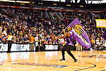 IMG_7379_LR