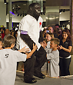 IMG_1786 LR