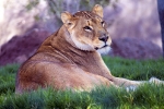 B_IMG_0623 LR