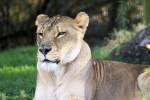 IMG_0558 LR