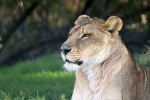 IMG_0562 LR