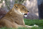 IMG_0610 LR