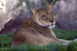 IMG_0624 LR