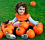 Prickly Pumpkin Patch