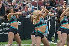 65 IMG_3766-SAI-Motion