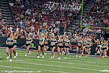 IMG_3738-SAI-Motion