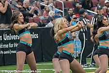 IMG_3768-SAI-Motion