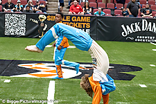 IMG_0280-denoise-denoise