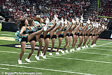 IMG_2199-SAI-Motion