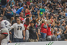 33 IMG_7631