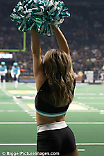 IMG_8074
