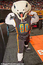 66 IMG_7666