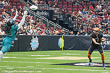 IMG_2914-SAI-Motion