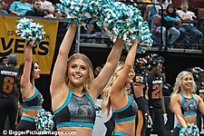 24 IMG_8087-denoise-denoise