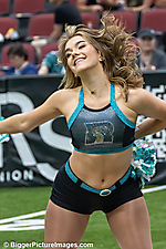 IMG_8406-denoise-denoise
