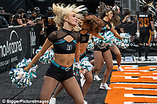 13_IMG_3261-denoise-denoise_1774867011_69ca5243e1d12