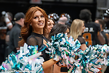 13_IMG_3342-denoise-denoise_1774867013_69ca52457c196