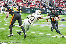 13_IMG_8711-denoise-denoise_1774867014_69ca524693bfc